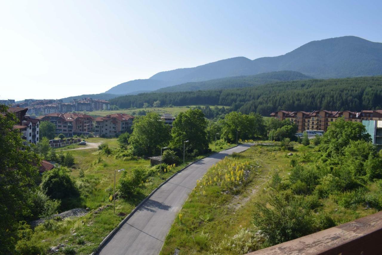 Old Inn Apartment Bansko Exteriér fotografie